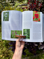 Book Holders