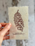 Pine cone and Acorn mini prints
