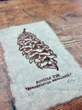 Pine cone and Acorn mini prints