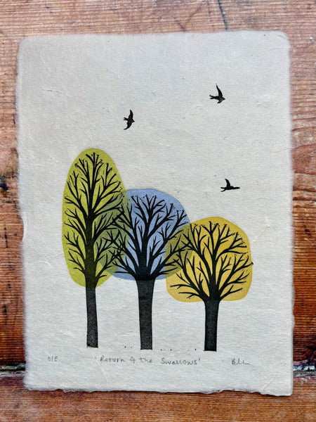 Return of the Swallows