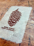 Pine cone and Acorn mini prints