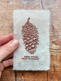 Pine cone and Acorn mini prints
