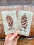 Pine cone and Acorn mini prints