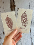 Pine cone and Acorn mini prints