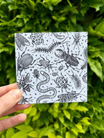 Greetings Cards